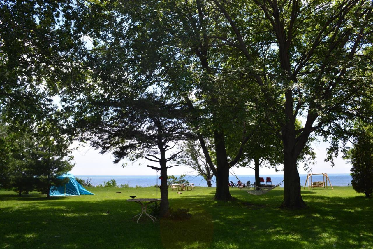 Birds Point Cottage On A Cliff Facing Lake Erie. Wheatley Dış mekan fotoğraf